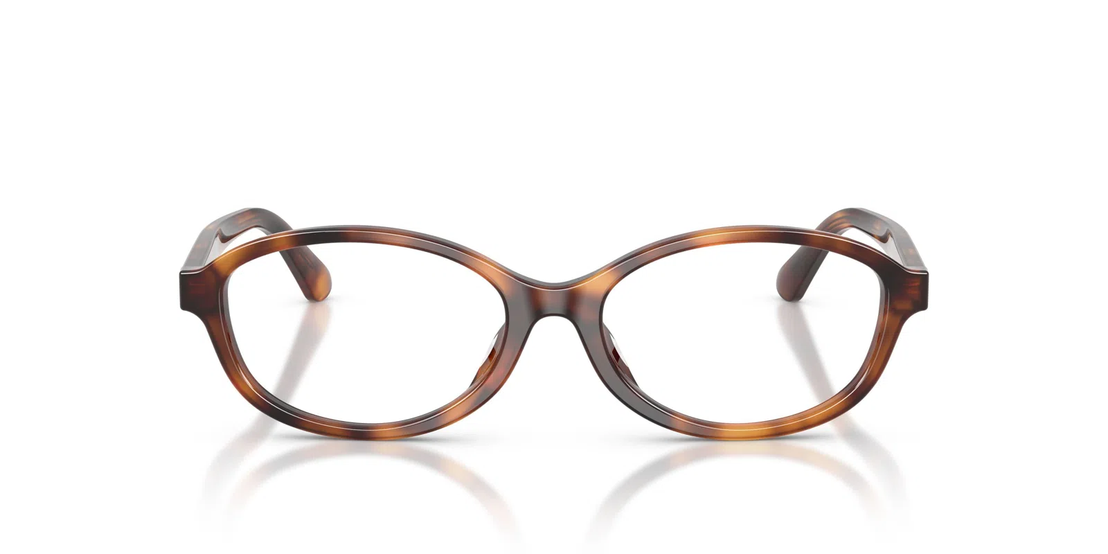 Polo 2311U Eyeglasses - view 29